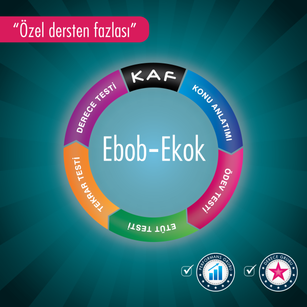 Ebob-Ekok (Video)