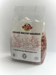 ORGANİK BAKLİYAT MAKARNASI (KIRMIZI MERCİMEK ) 250 GR