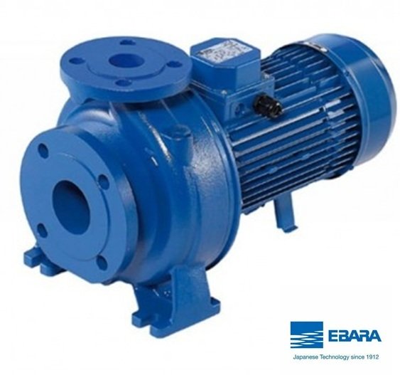 Ebara 3DS 40-125/1.5 2Hp 380V Yatay Milli Döküm Santrifüj Pompa