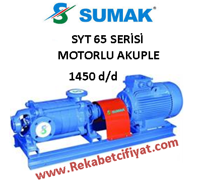 SUMAK SYT 65/2 5,5HP 380V Yatay Milli Kademeli Pompa + Motor