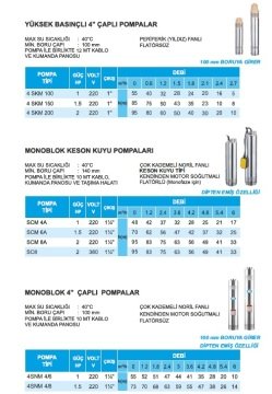 Atlantis  4SNM 4/8    1.5Hp-220V  4'' Çaplı    1  ¼'' Çıkışlı 10mt Kablolu + Panolu  Monoblok  Pompa