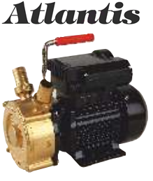 Atlantis Blu YAG 40m 0.5hp 220v Yağ Aktarım Pompası (dk/1400 devir)