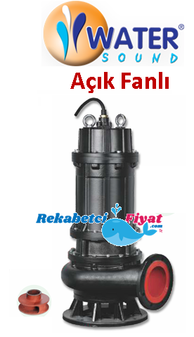WATER SOUND 200B445 60HP 8\'\' Çıkışlı Döküm Gövdeli Dalgıç Pompa