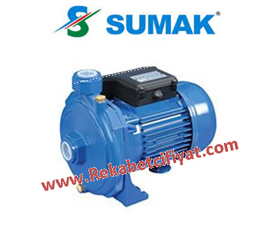 SM220 2,2HP 220V 1\'\' ÇIKIŞLI SANTRİFÜJ POMPA