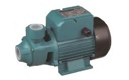 Momentum  PKM110AT   1.5Hp  220V  Preferikal Sürtme Fanlı Pompa