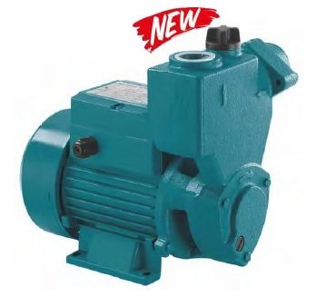Momentum PKSm75 1Hp 220V Kendinden Emişli Sürtme Fanlı Pompa