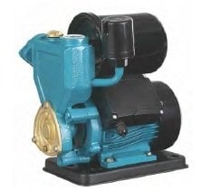 Momentum PKSm130 0.17Hp 220V Sürtme Fanlı Hidrofor