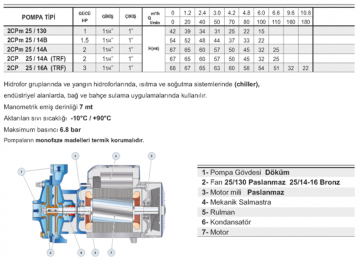 Pedrollo 2CP 40/200A 15hp 380v 1 1/2'' Çıkışlı Çift Kademeli Santrifüj Pompa