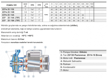 Pedrollo 2CP 40/200B 12.5hp 380v 1 1/2'' Çıkışlı Çift Kademeli Santrifüj Pompa