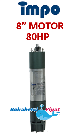 İMPO 80Hp - 59Kw 8'' Dalgıç Motor