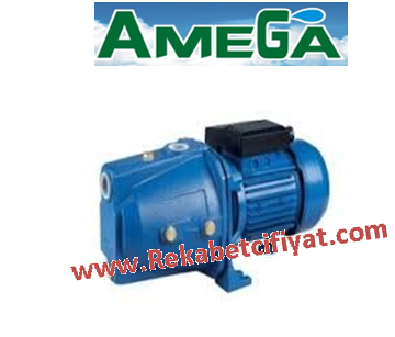 AMEGA JTM 200 Pirinç Fanlı 2HP 220V DÖKÜM GÖVDELİ JET POMPA