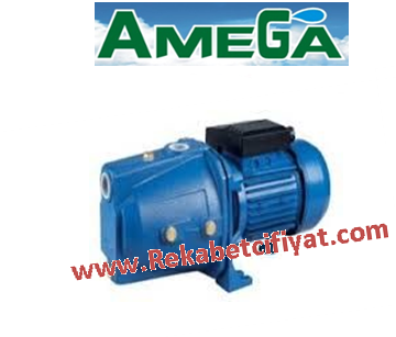 AMEGA JTM 200 Pirinç Fanlı  2HP 220V DÖKÜM GÖVDELİ  JET POMPA