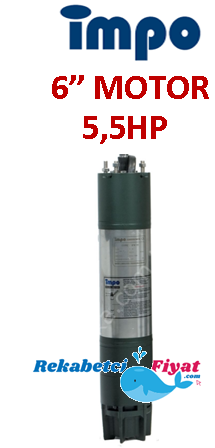 İMPO 5.5Hp - 4Kw 6'' Dalgıç Motor (V Tipi)
