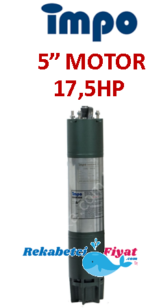 İMPO 17.5Hp - 13Kw 5'' Dalgıç Motor
