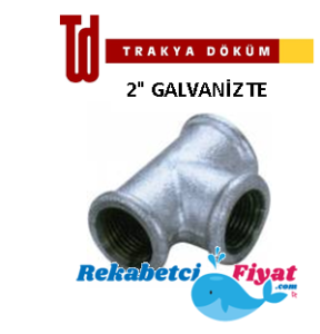 TRAKYA DÖKÜM 2'' Galvaniz Te