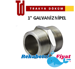 TRAKYA DÖKÜM 1'' Galvaniz Nipel