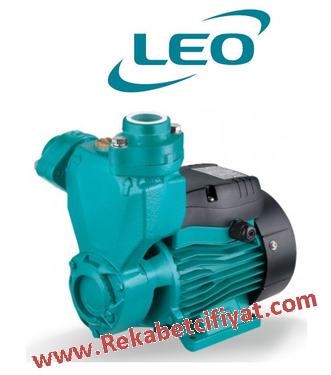LEO APSm110 1,5HP 220V Kendinden Emişli Preferikal Sürtme Fanlı Pompa