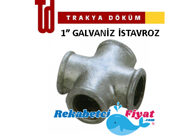 TRAKYA DÖKÜM 1'' Galvaniz Kuruva