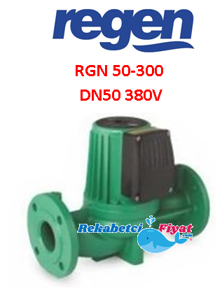 REGEN RGN 50-300 380V DN50 Flanşlı Üç Hızlı Sirkülasyon Pompası