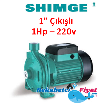 SHIMGE CPm158 1Hp 220v 1'' Çıkışlı Tek Kademeli Santrifüj Pompa