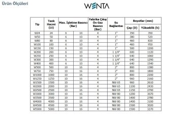 Wenta  WE-50-Y  50 Litre  10 Bar  Yatık Tip Hidrofor ve Genleşme Tankı