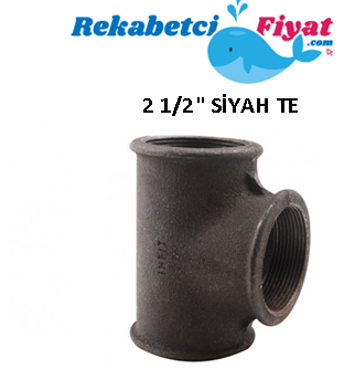 2 1/2'' Siyah Te