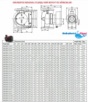 GRUNDFOS MAGNA1 32-100 1 1/4'' Çıkışlı Frekans Kon. Dişli Sirkülasyon Pompası-99221236