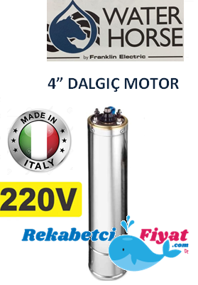 WATER HORSE WH015-M 1.5HP 220V 4'' Derin Kuyu Dalgıç Motor ( İtalyan Malı)