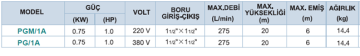 Momentum Pgm/1A 1Hp 220v Tek Fanlı Santrifüj Pompa