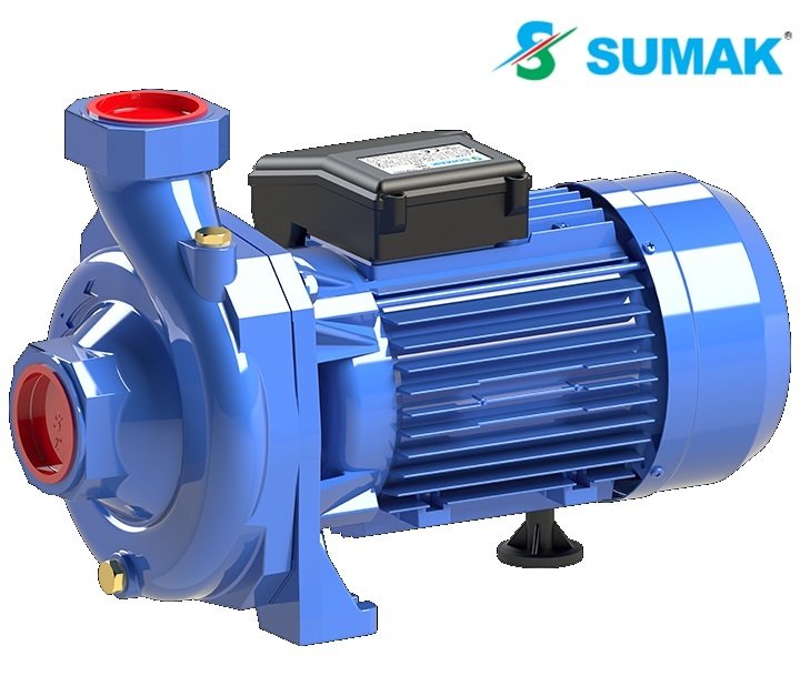 Sumak SM300/2-S 3Hp 220V Sıcak Su Santrifüj Pompa
