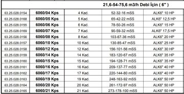 Alarko 6060/12 Kps  30Hp  6'' Paslanmaz Derin Kuyu Dalgıç Pompa (Motor+Pompa) ALK-KPS Serisi