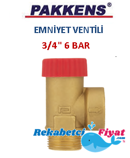 PAKKENS 3/4'' 6 Bar Sabit Basınçlı Emniyet Ventili (erkek)