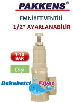 PAKKENS 1/2'' 1-10 Bar Ayarlanabilen Emniyet Ventili (dişi)