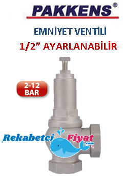 PAKKENS 1/2'' 2-12 Bar Ayarlanabilen Buhar Emniyet Ventili (dişi)