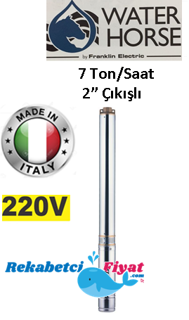 WATER HORSE 4WH 06-13 2HP 220V 2'' Çıkışlı Derin Kuyu Dalgıç Pompa (İtalyan Malı)