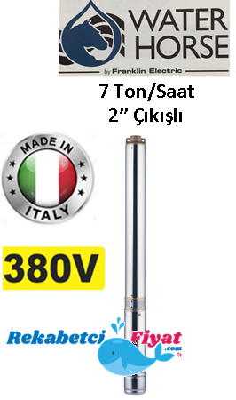 WATER HORSE 4WH 06-09 1.5HP 380V 2'' Çıkışlı Derin Kuyu Dalgıç Pompa (İtalyan Malı)
