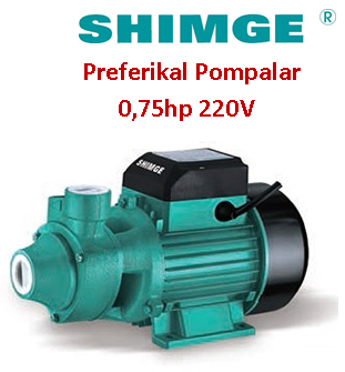 SHIMGE QB 70 0.75hp 220V Preferikal Sürtme Fanlı Pompa