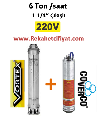 6 GM - 14 1,5HP 1 1/4'' Çıkışlı 220V Vortex Pompa+ Coverco Motor Derin Kuyu Dalgıç Pompası