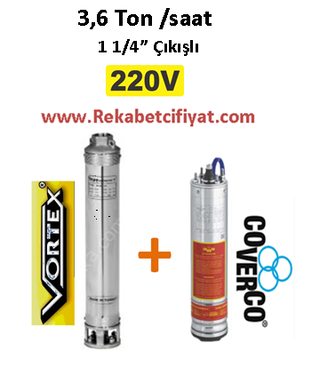 4 GM - 20 1,5HP 220V Vortex Pompa+Coverco Motor Derin Kuyu Dalgıç Pompası