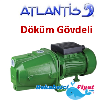 ATLANTİS JSW 65 2HP 220V Döküm Gövdeli Jet Pompa