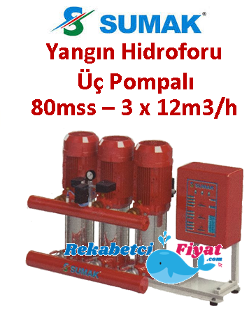 SUMAK SHT 16 C 750/7 EEEY 7.5HP 380V Üç Pompalı Paket Yangın Hidrofor