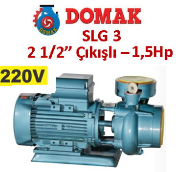 DOMAK SLG3 1.5HP 220V 2 1/2'' Çıkışlı Santrifüj Pompa 2900d/d