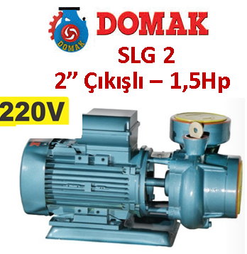 DOMAK SLG2 1.5HP 220V 2'' Çıkışlı Santrifüj Pompa 2900d/d