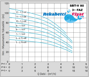 STANDART TH 2X SBT-V 80-9 1.5HP 380V Çift Pompalı Paket Hidrofor