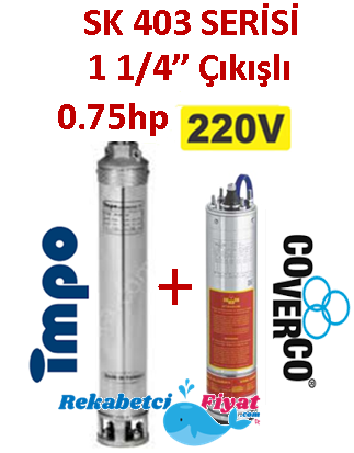 SK 403-07 0.75HP 220V 1 1/4'' Çıkışlı Sondaj Dalgıç Pompa İmpo Pompa - Coverco Motor(Pompa krom başlıklıdır.)