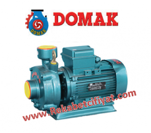 DOMAK SLG1 -2K 1,5 HP 220V 1'' Çıkışlı Kademeli Pompa