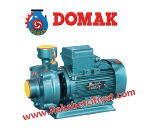 DOMAK SLG1,5 -2K 2 HP 220V 1 1/2'' Çıkışlı Kademeli Pompa