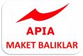 Maket Balıklar