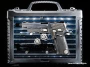 LED BOX Pistol Display Tabanca Çantası