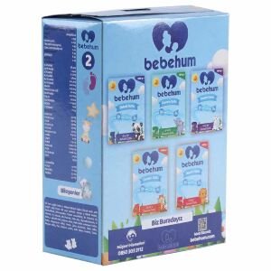 Bebehum 2 Devam Sütü 400 gr 6-9 Ay